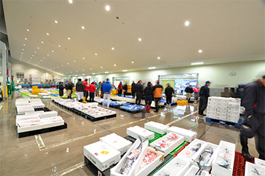 沼津港の競り場の朝